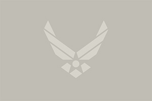 Default Air Force Logo